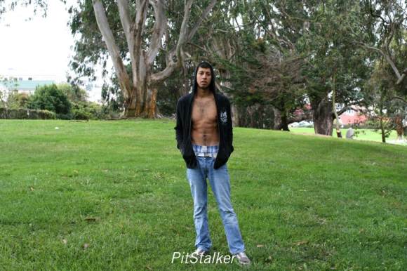 alan_d273