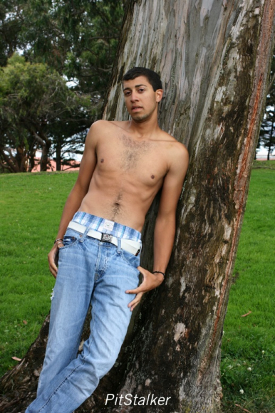 alan_d301