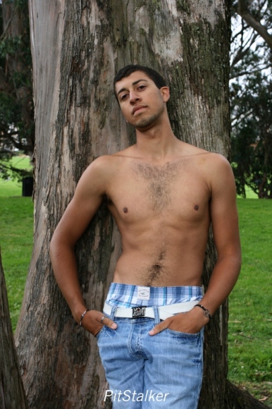 alan_d303