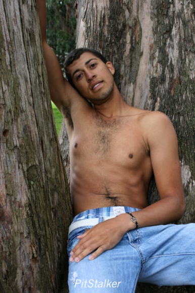 alan_d306