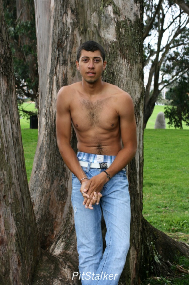 alan_d311