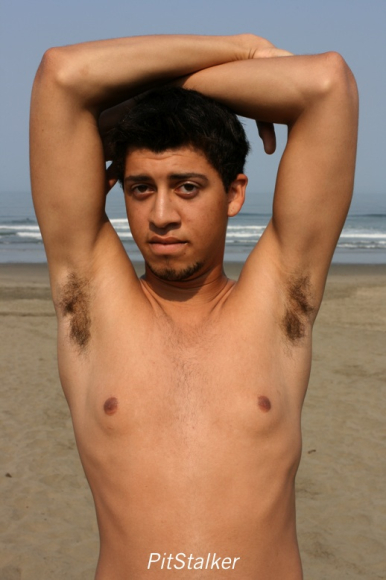 alan_d035