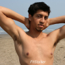 alan_d175