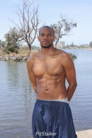 allan_p054