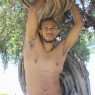 allan_p101
