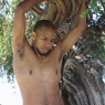 allan_p114