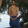 allan_p134