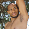 allan_p159
