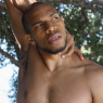 allan_p164
