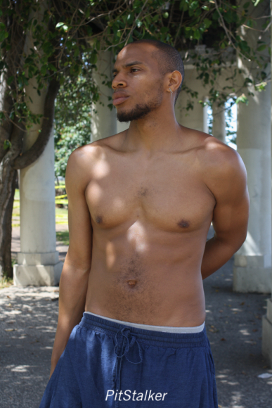 allan_p173