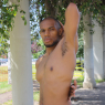 allan_p190