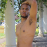 allan_p194