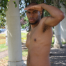 allan_p195