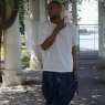 allan_p203