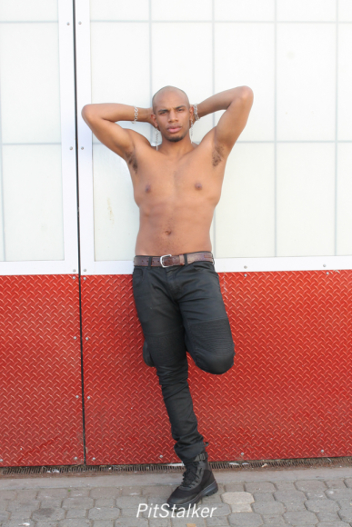 allan_p250