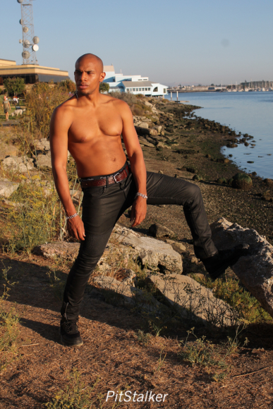allan_p395