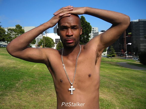 allen_t079