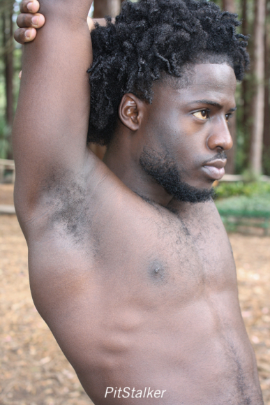 amadou_d480