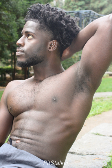 amadou_d528