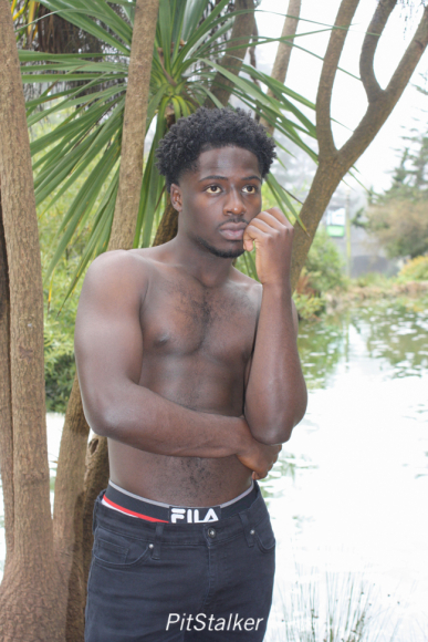 amadou_d201