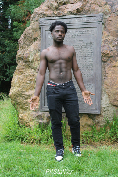 amadou_d333