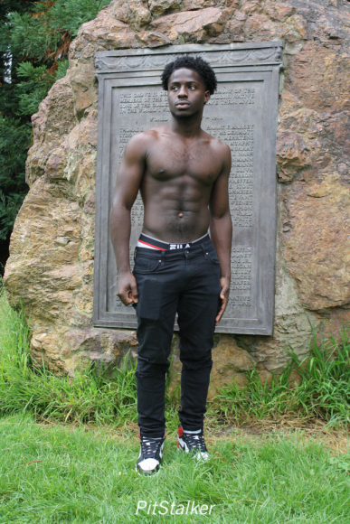 amadou_d335
