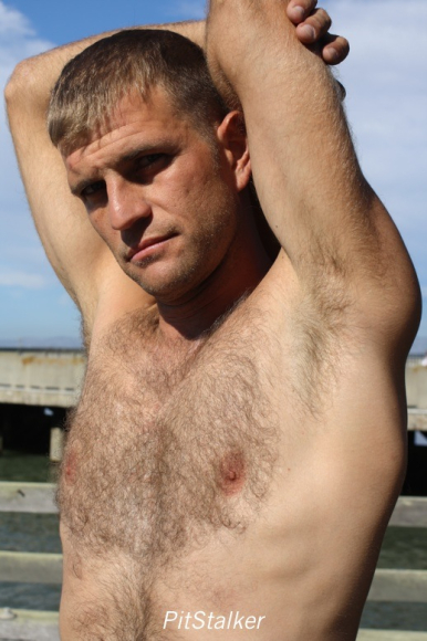 andrew_y485