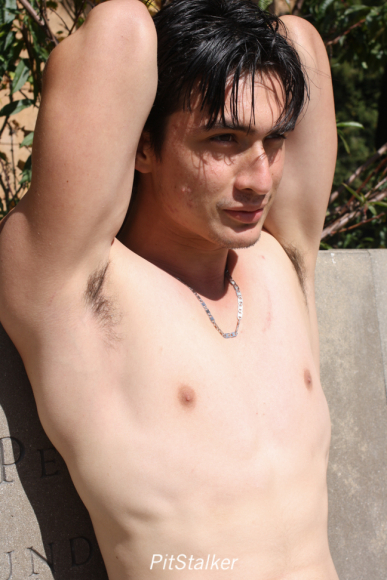 angel_c036
