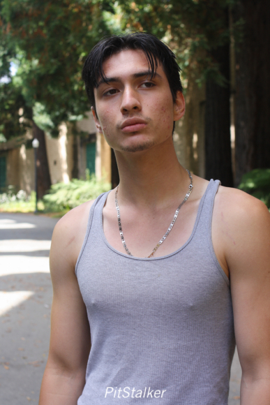 angel_c115