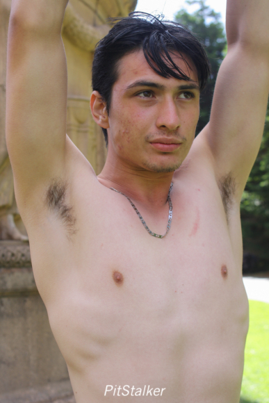 angel_c173