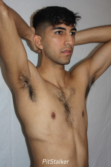 angel_s235