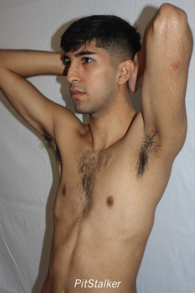 angel_s236