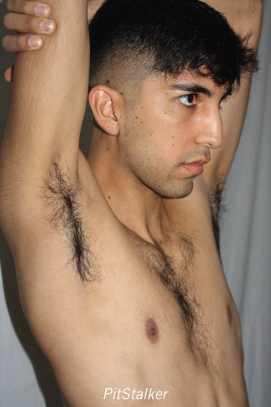 angel_s282