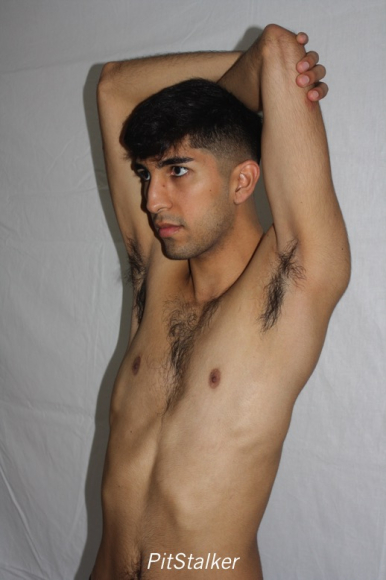 angel_s283