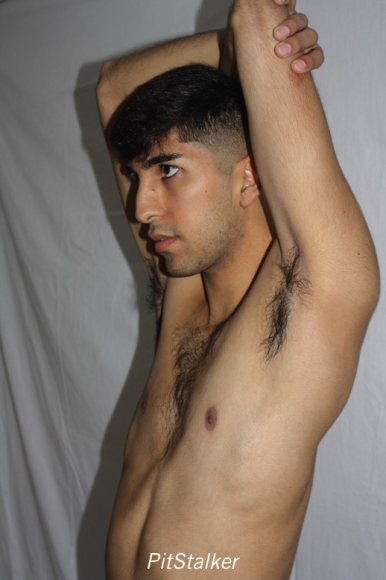 angel_s285