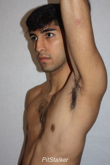 angel_s331