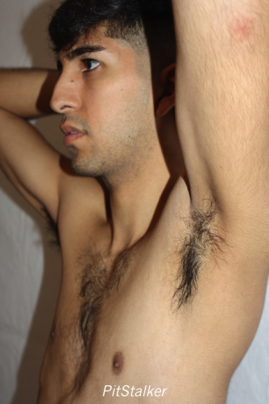 angel_s351