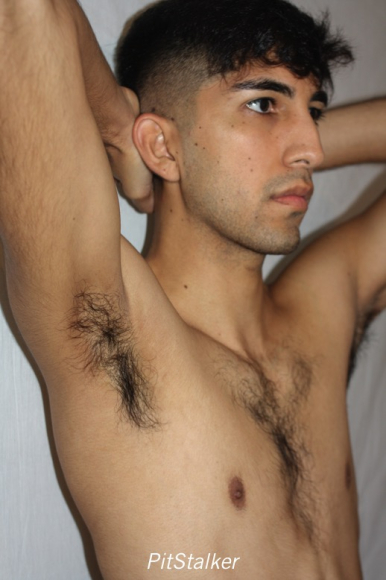 angel_s352