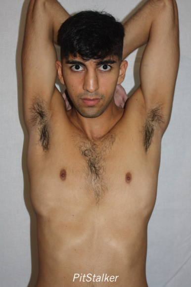 angel_s392