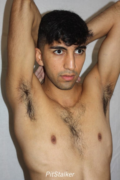 angel_s393