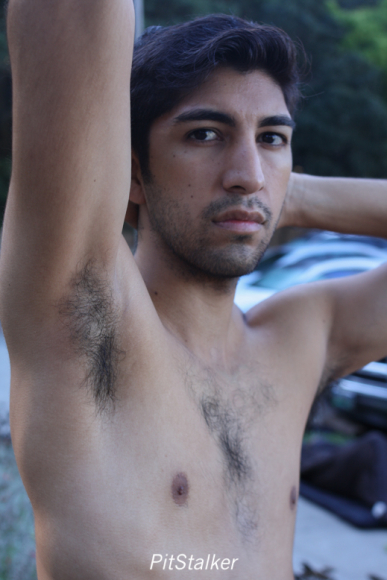 angel_s448