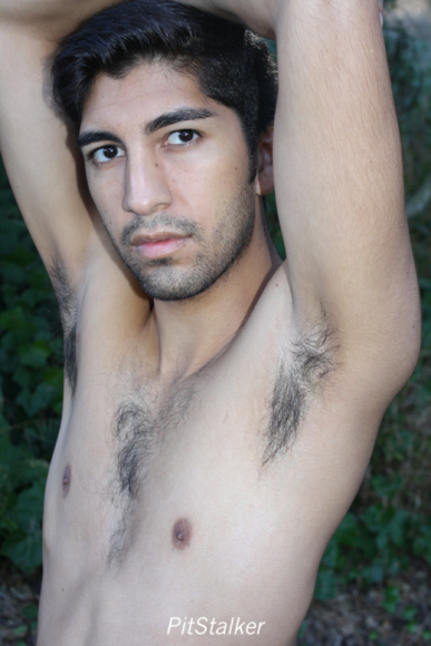 angel_s486