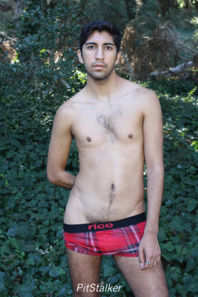 angel_s513
