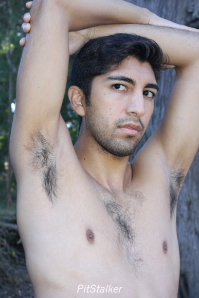 angel_s530