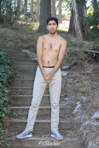 angel_s534