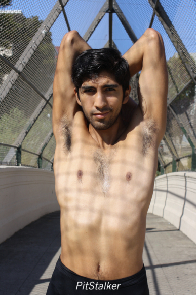 angel_s028