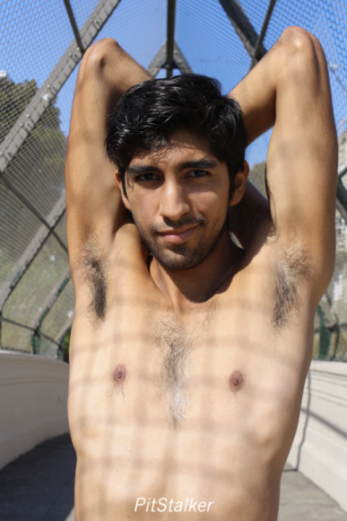 angel_s029