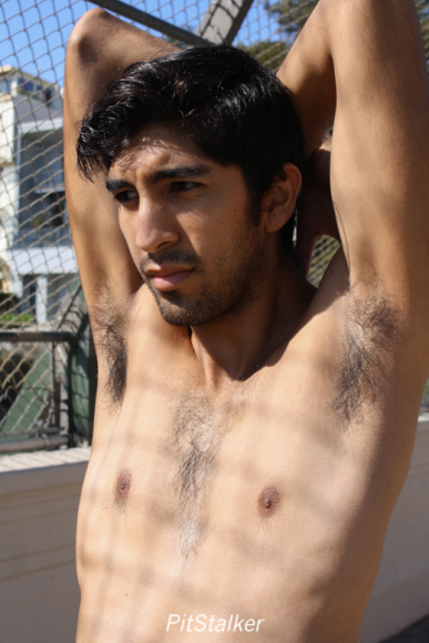angel_s036