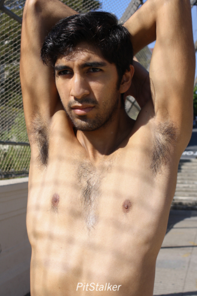 angel_s037