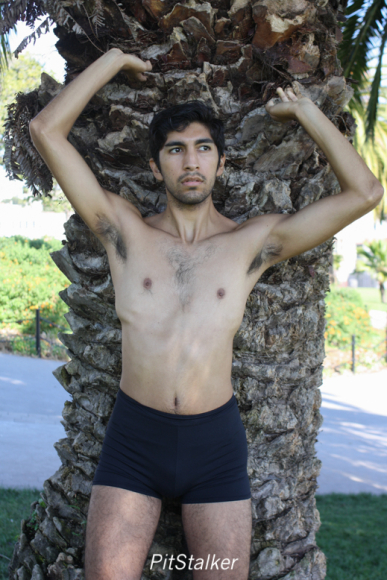 angel_s108